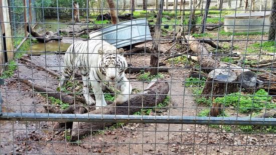 Capital of Texas Zoo