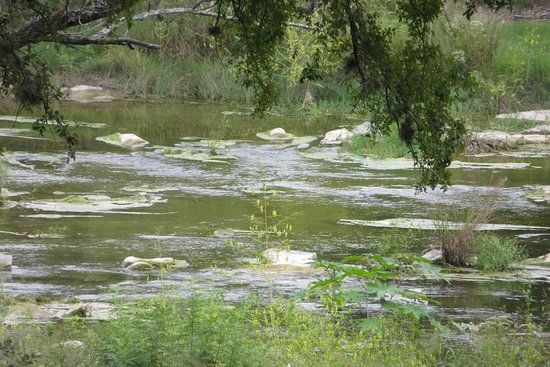 Pedernales River Nature Park