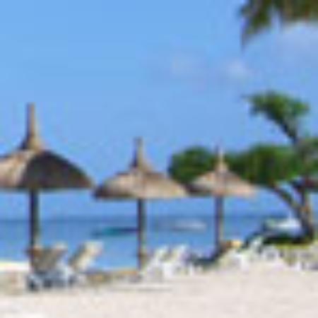 Raising Cane's Chicken Fingers