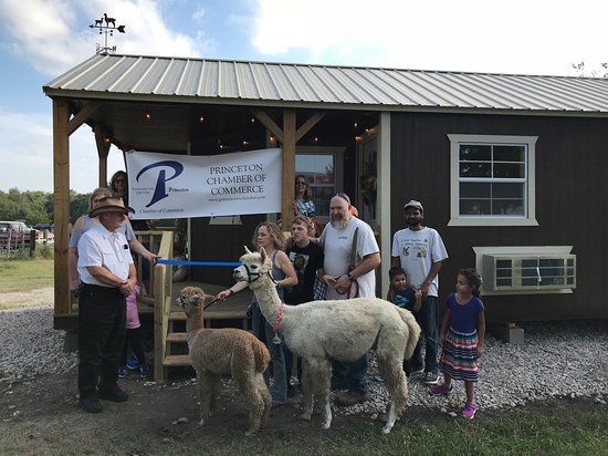 Structured Chaos Farm