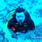 The Original Taqueria Co