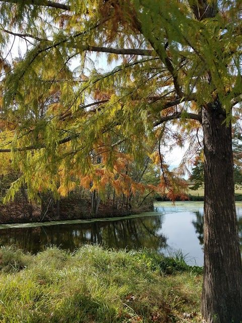 Beverly S. Sheffield Northwest District Park