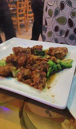 Hunan Village Restaurant