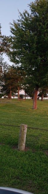 Tom Finley Park