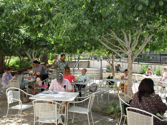 Rosella At the Garden