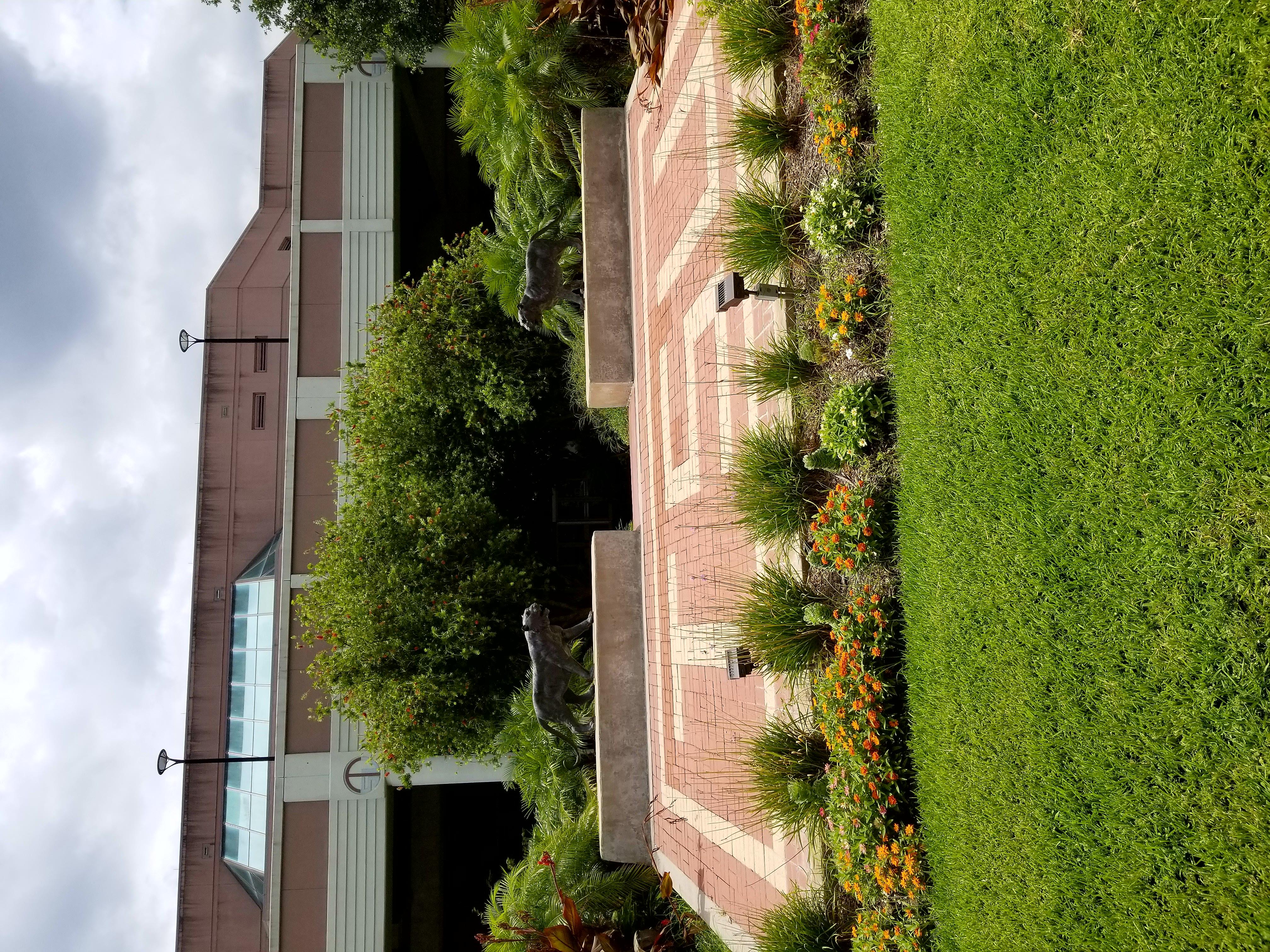 Health and Physical Education Arena
