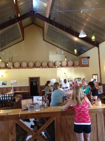 Rancho Ponte Vineyard