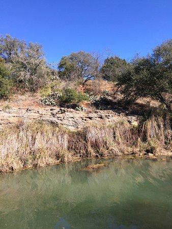 Live Oak Wilderness Trail