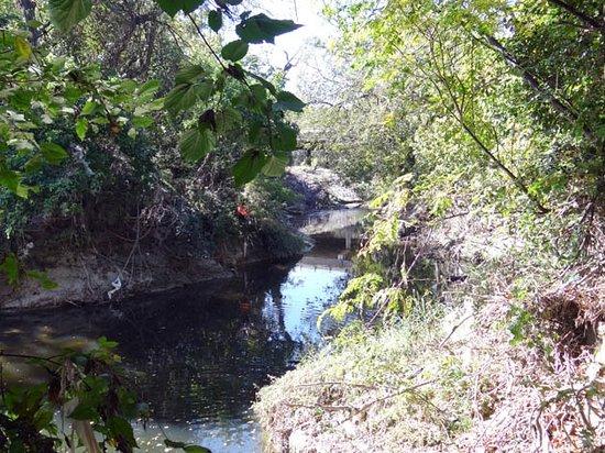 Duck Creek Greenbelt