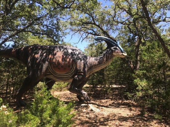 Dinosaur Park