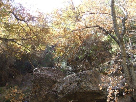 Cattail Falls Trail