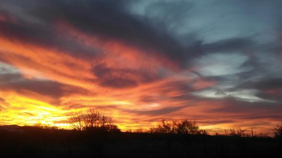 Lighthouse Grill and Lounge