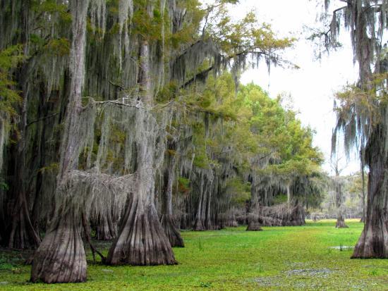 Johnson's Ranch Marina