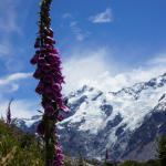 Cilantro's Mexican Restaurant