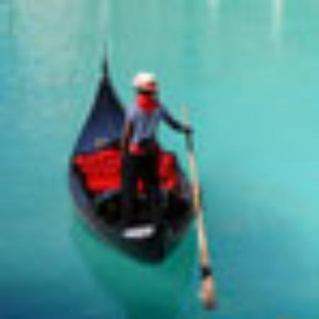 Palm Harbor Marina Restaurant