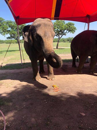 Hill Country Elephant Reserve