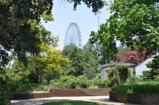 Texas Discovery Gardens