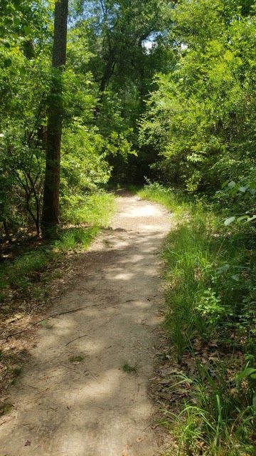 George Mitchell Preserve