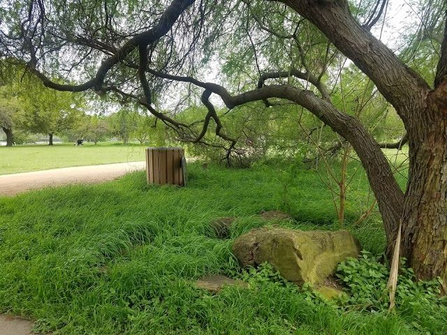 Ladybird Lake & Bike Trail