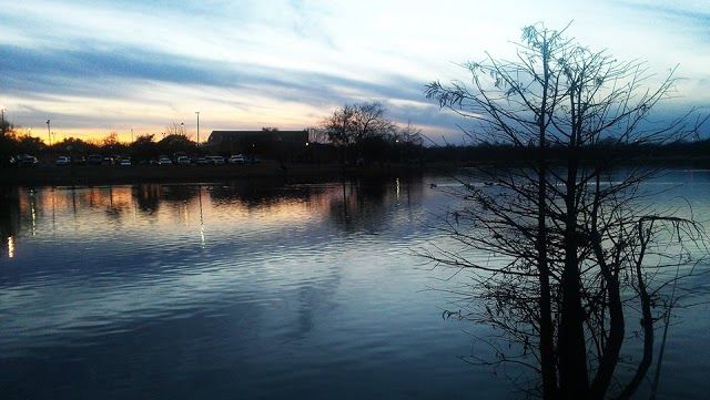 Millers Pond Park