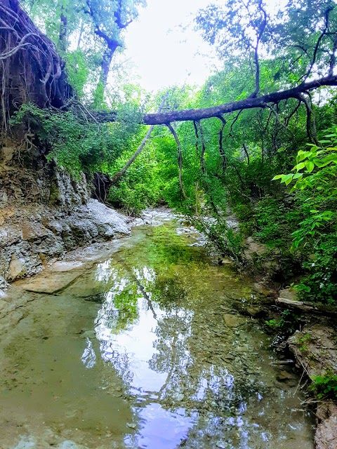Dayspring Nature Preserve