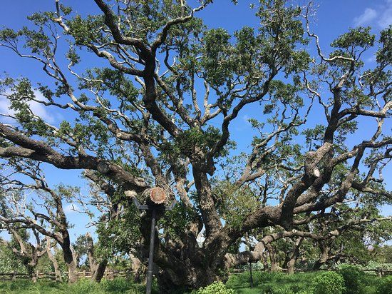 Goose Island State Park