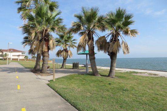 Palmetto Park