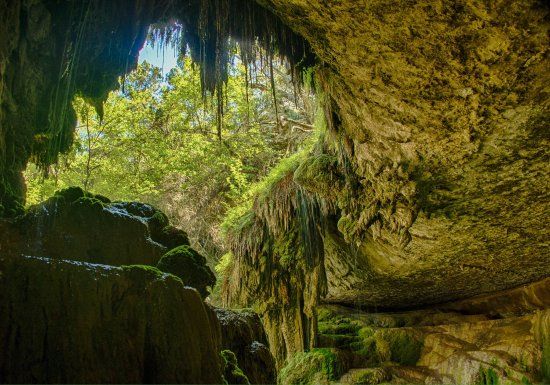 Westcave Outdoor Discovery Center