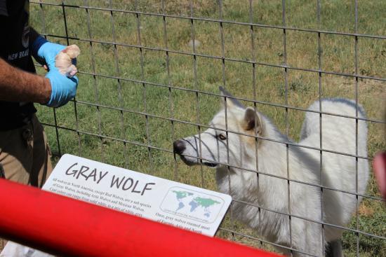Animal World & Snake Farm Zoo