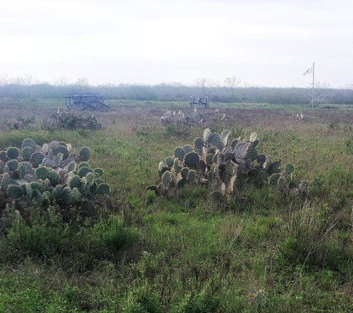 Palo Alto Battlefield National Historical Park