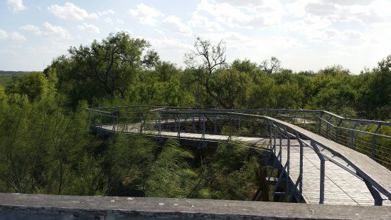 Bentsen-Rio Grande Valley State Park