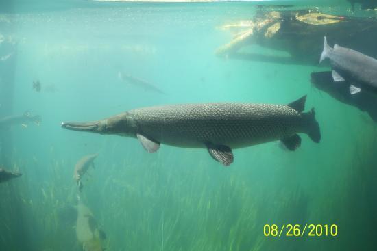 Texas Freshwater Fisheries Center