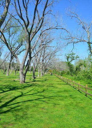 Washington-on-the-Brazos