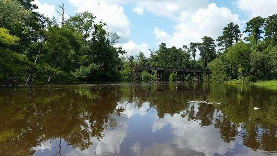 Village Creek State Park