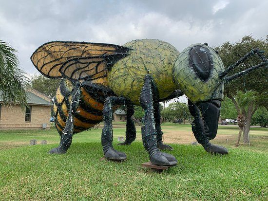 World's Largest Killer Bee