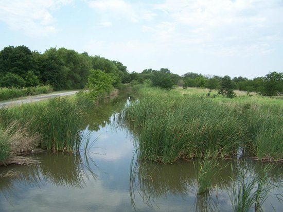 Holliday Creek Trails