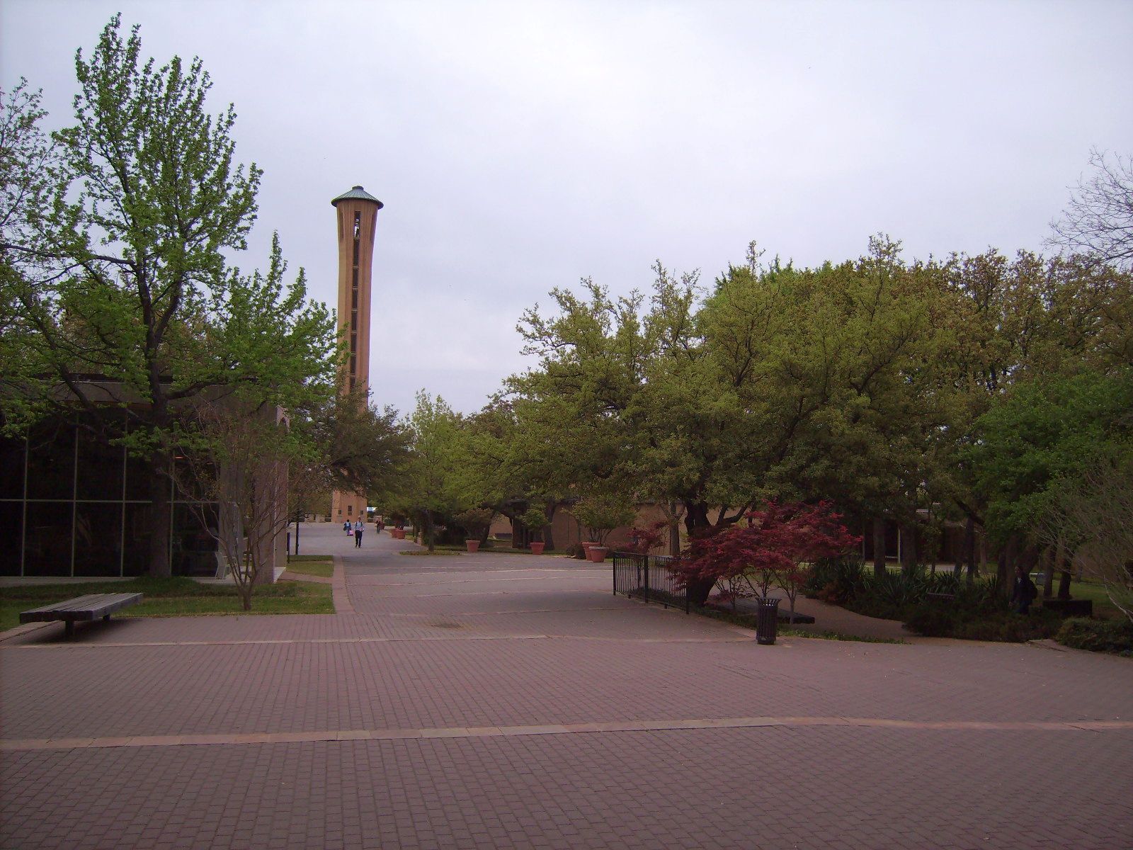 University of Dallas