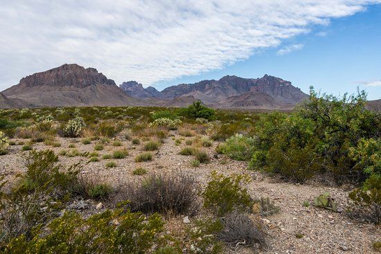 Dug Out Wells Picnic Area and Nature Trail